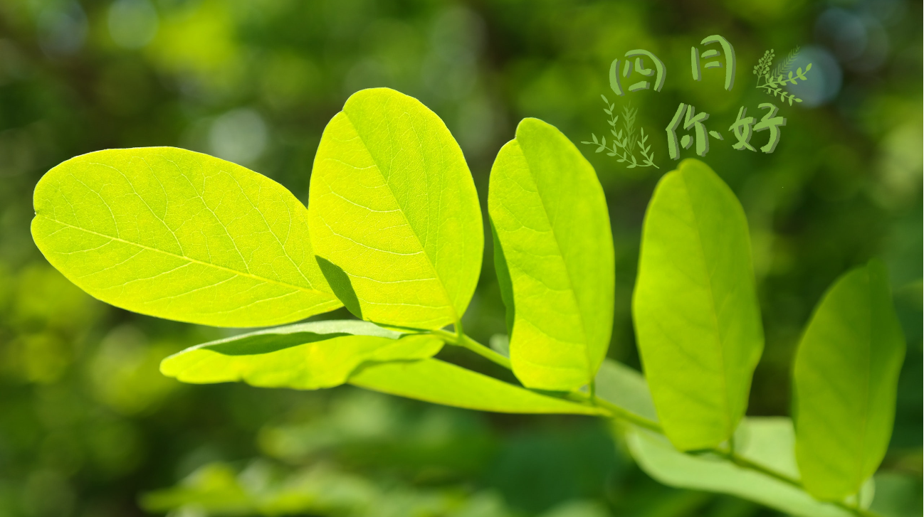 你好！4月
