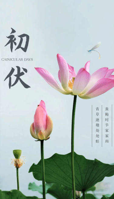 熱、熱、熱！入伏中……